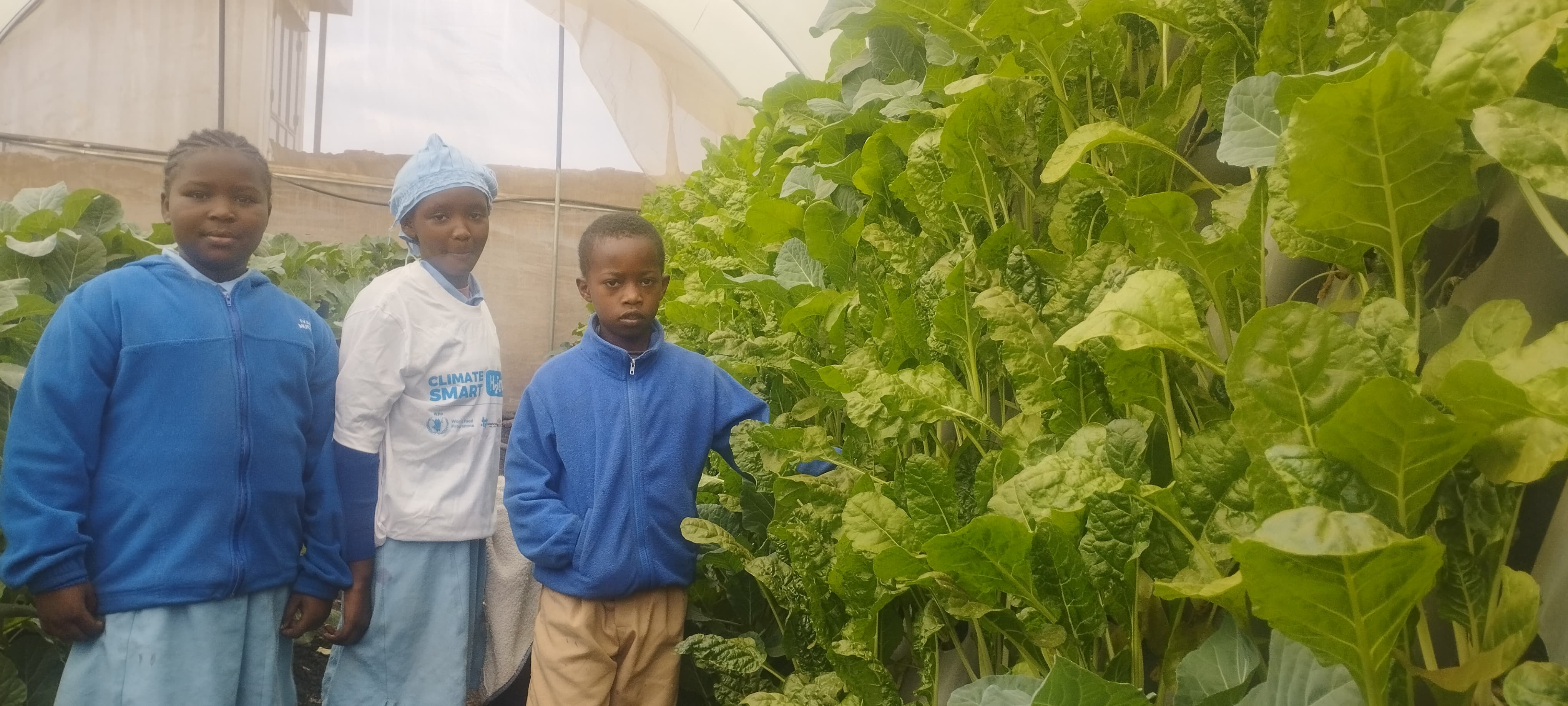 Climate Smart Greenhouse